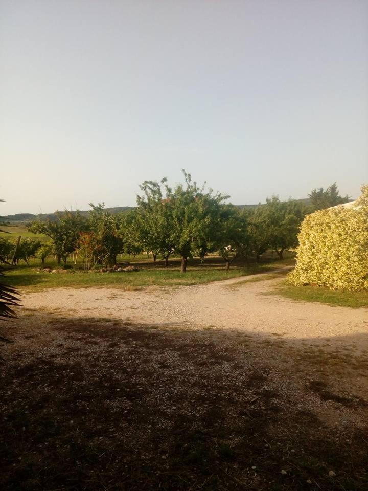 Apartmán Residenza Agrituristica Santa Lucia Con Piscina Alghero Exteriér fotografie
