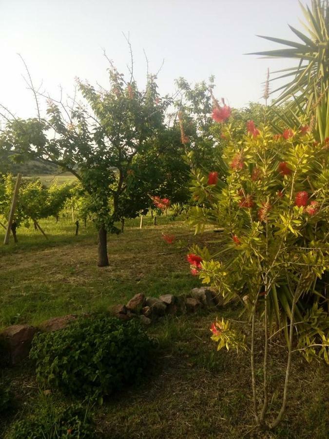 Apartmán Residenza Agrituristica Santa Lucia Con Piscina Alghero Exteriér fotografie